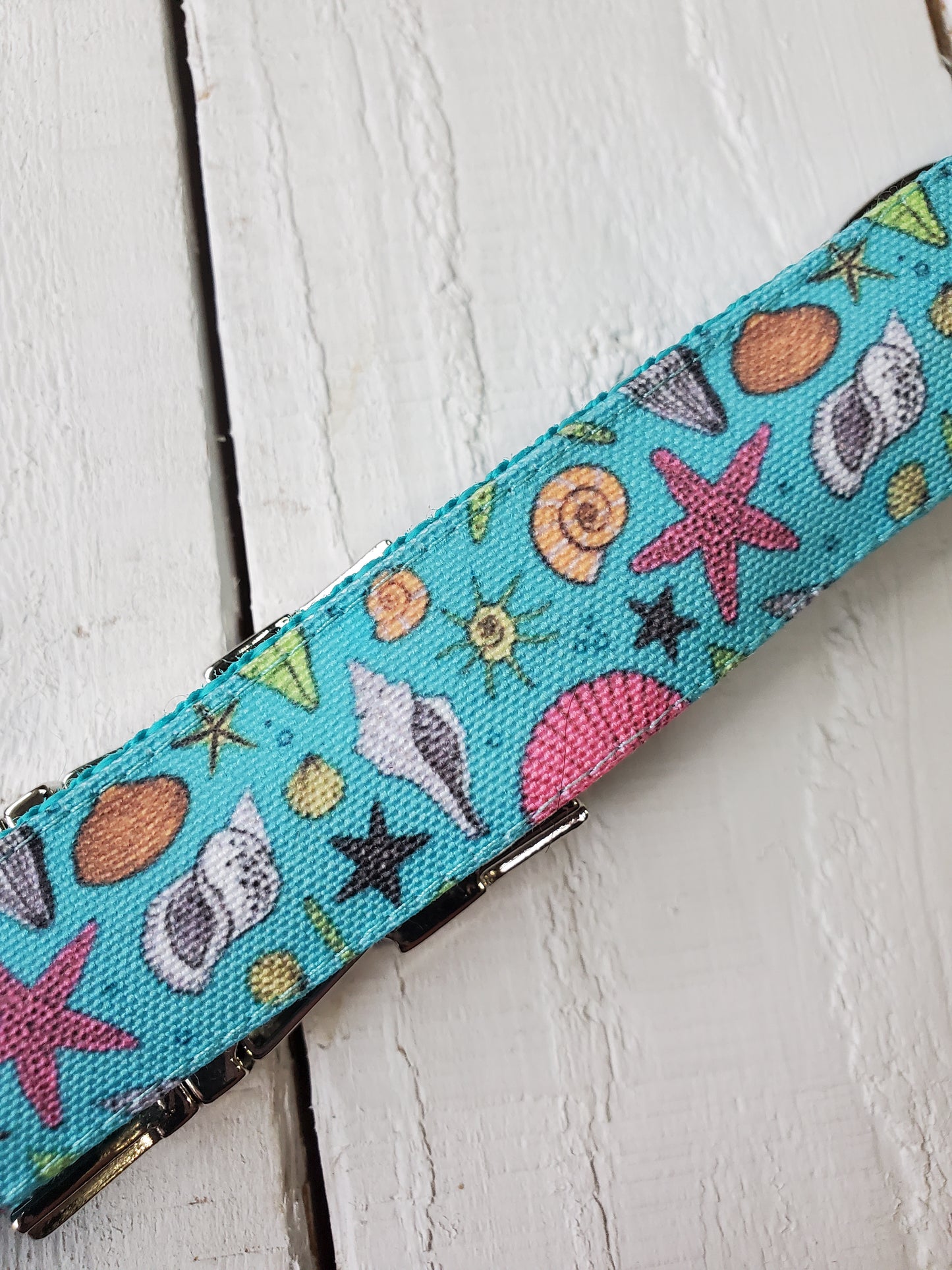 Teal Seashells dog collar