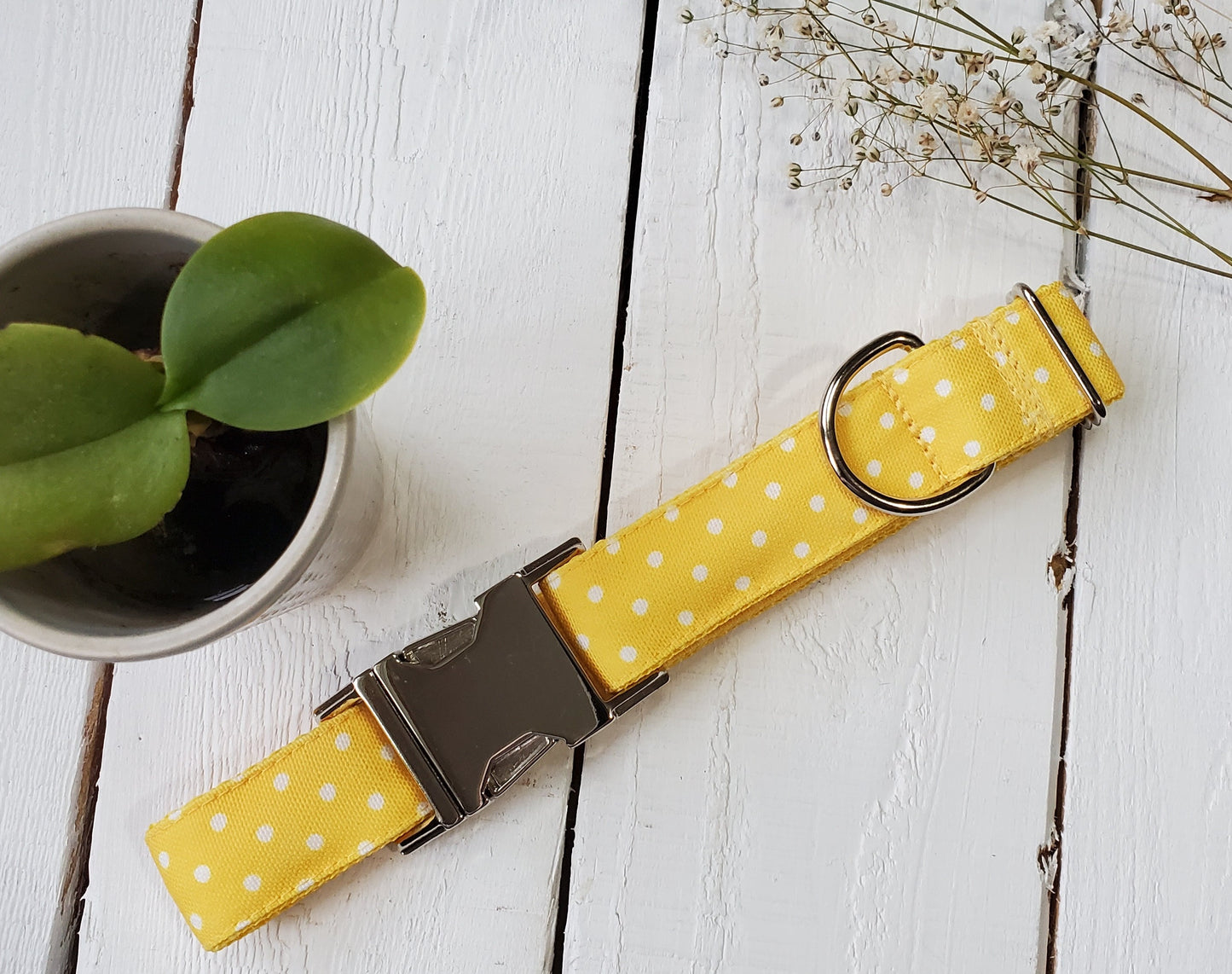 Yellow Polka Dot dog collar