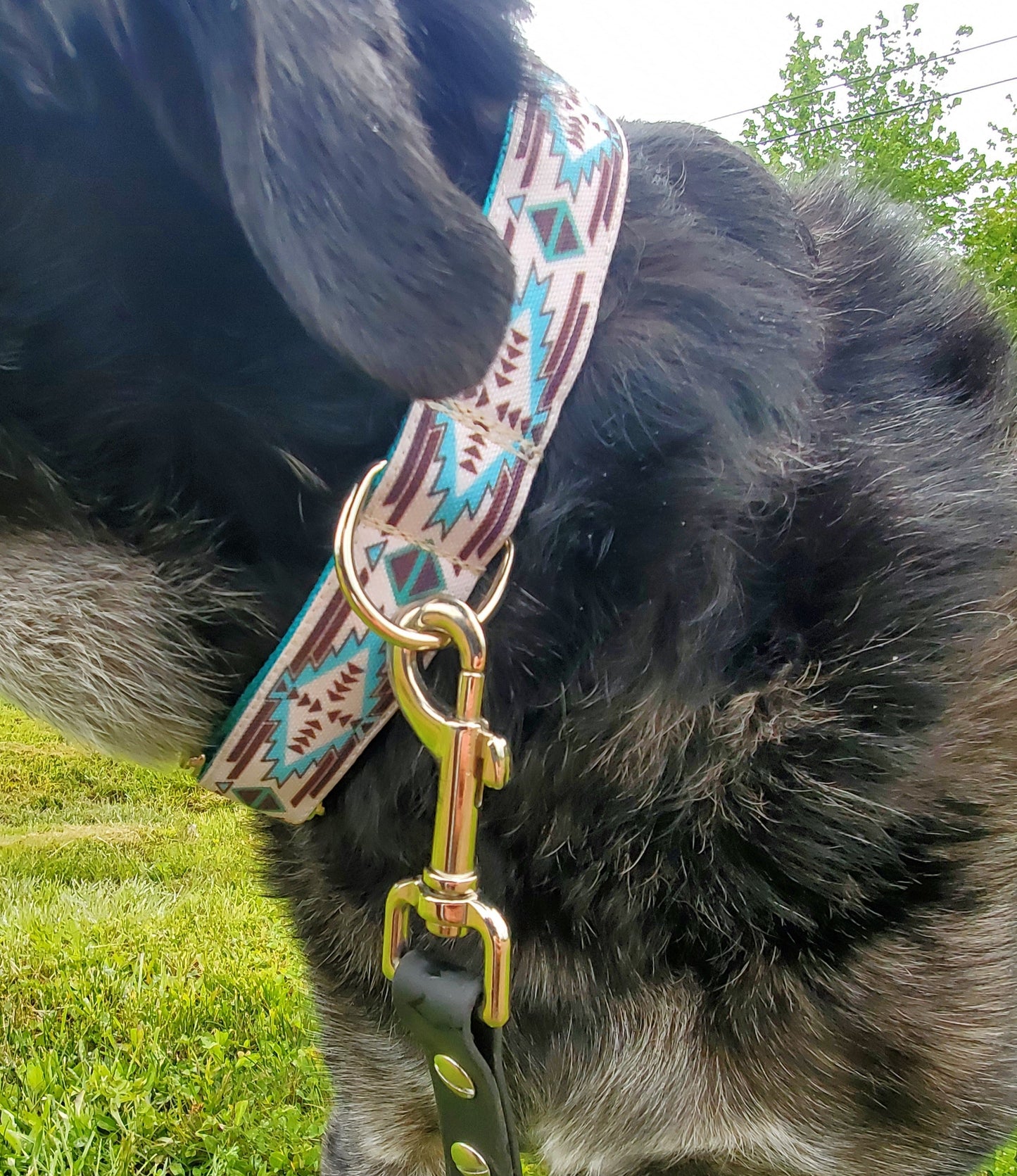 Western Teal Geo dog collar