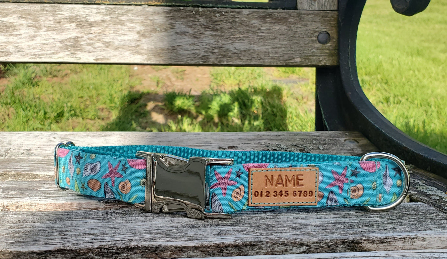 Teal Seashells dog collar