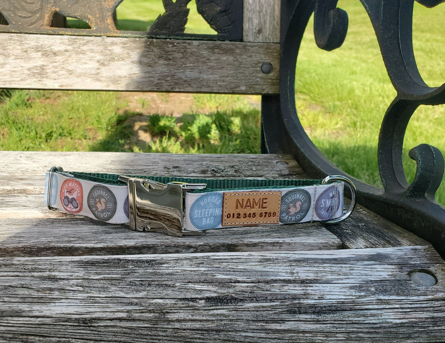 Dog Scout dog collar