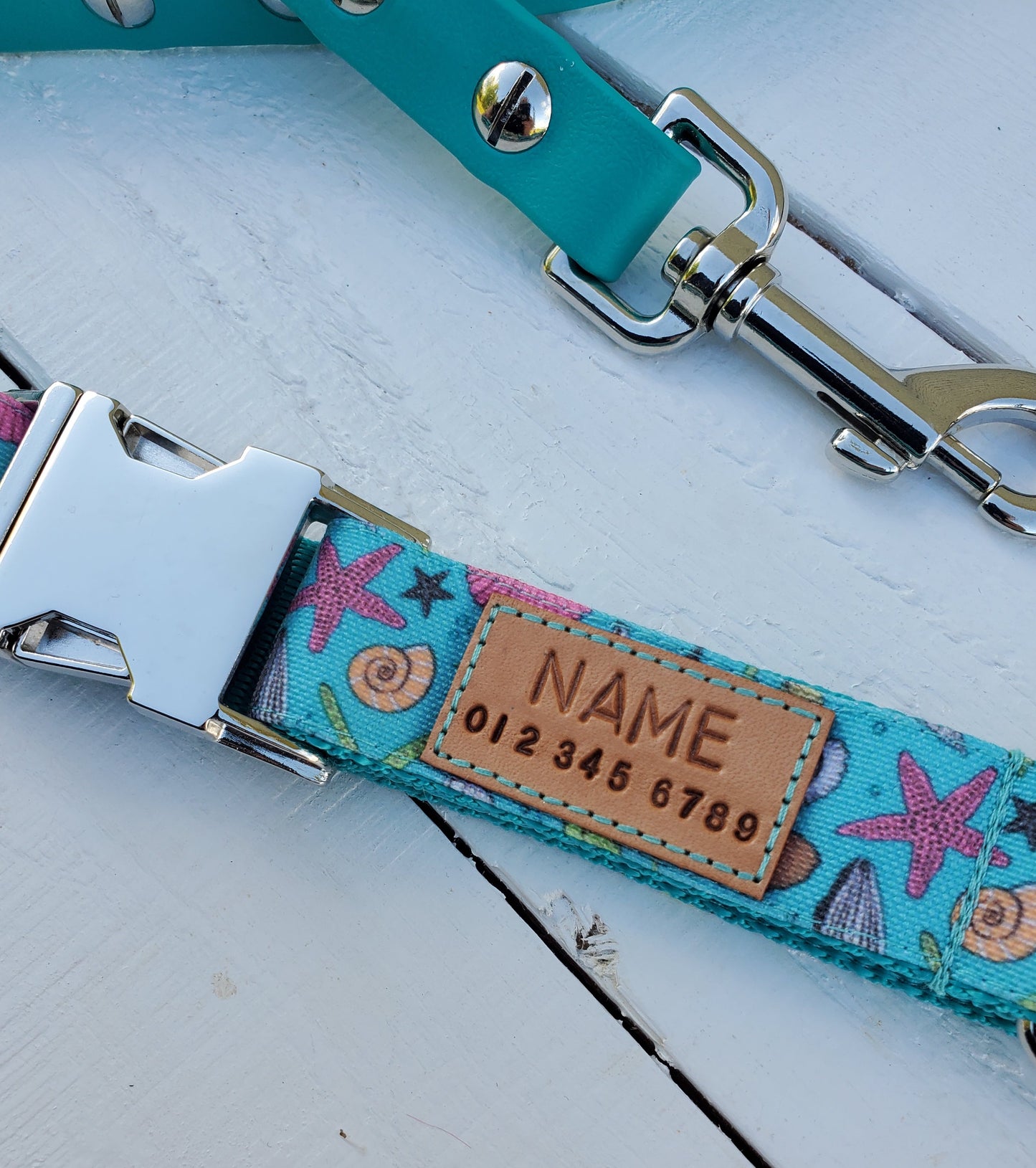 Teal Seashells dog collar