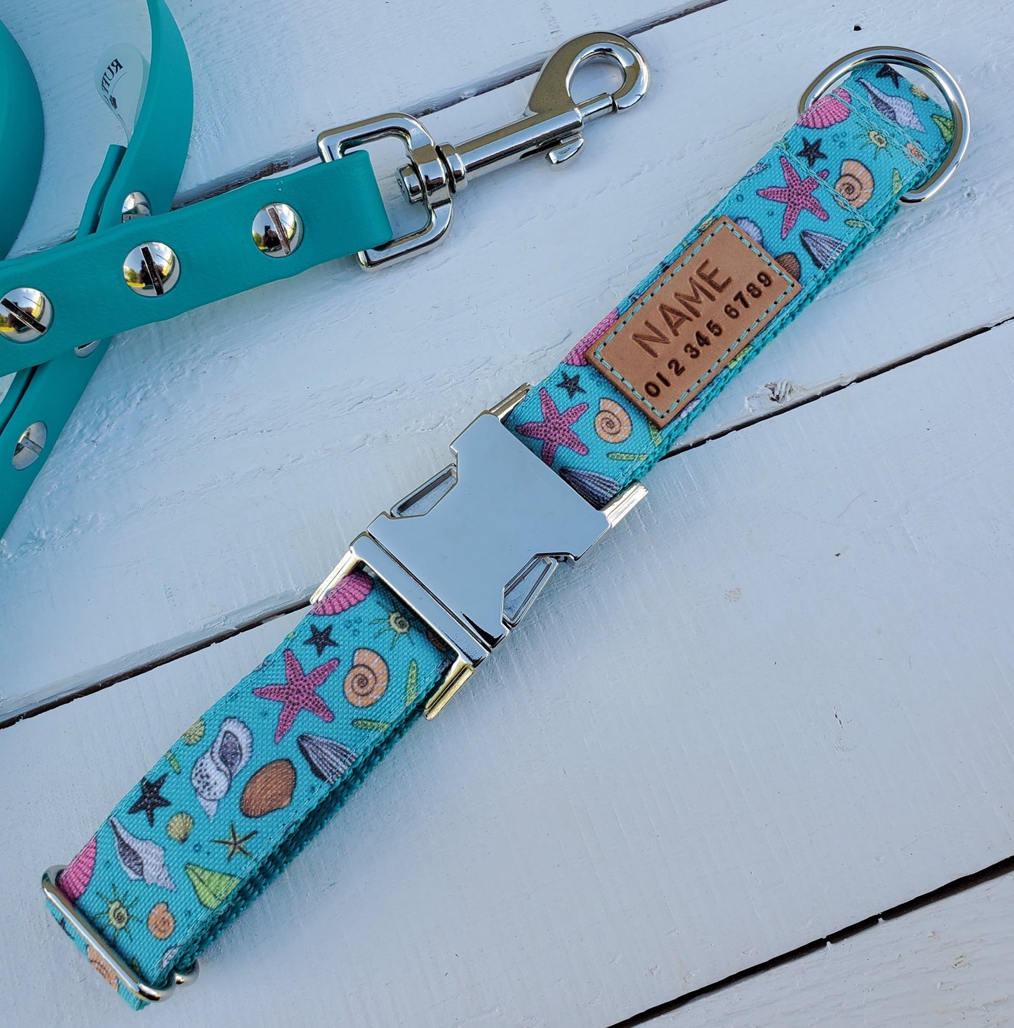 Teal Seashells dog collar