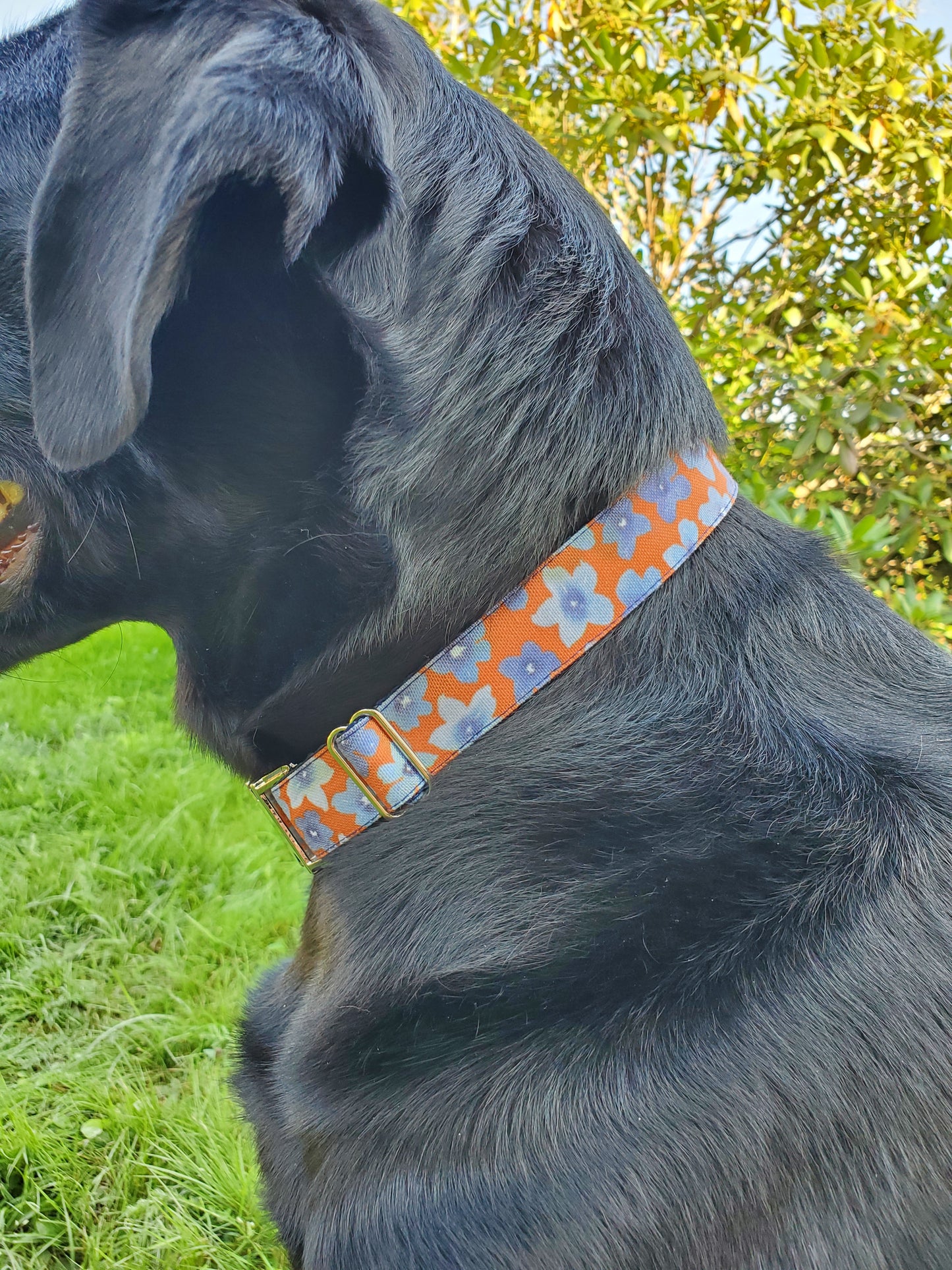 Indigo Floral collar