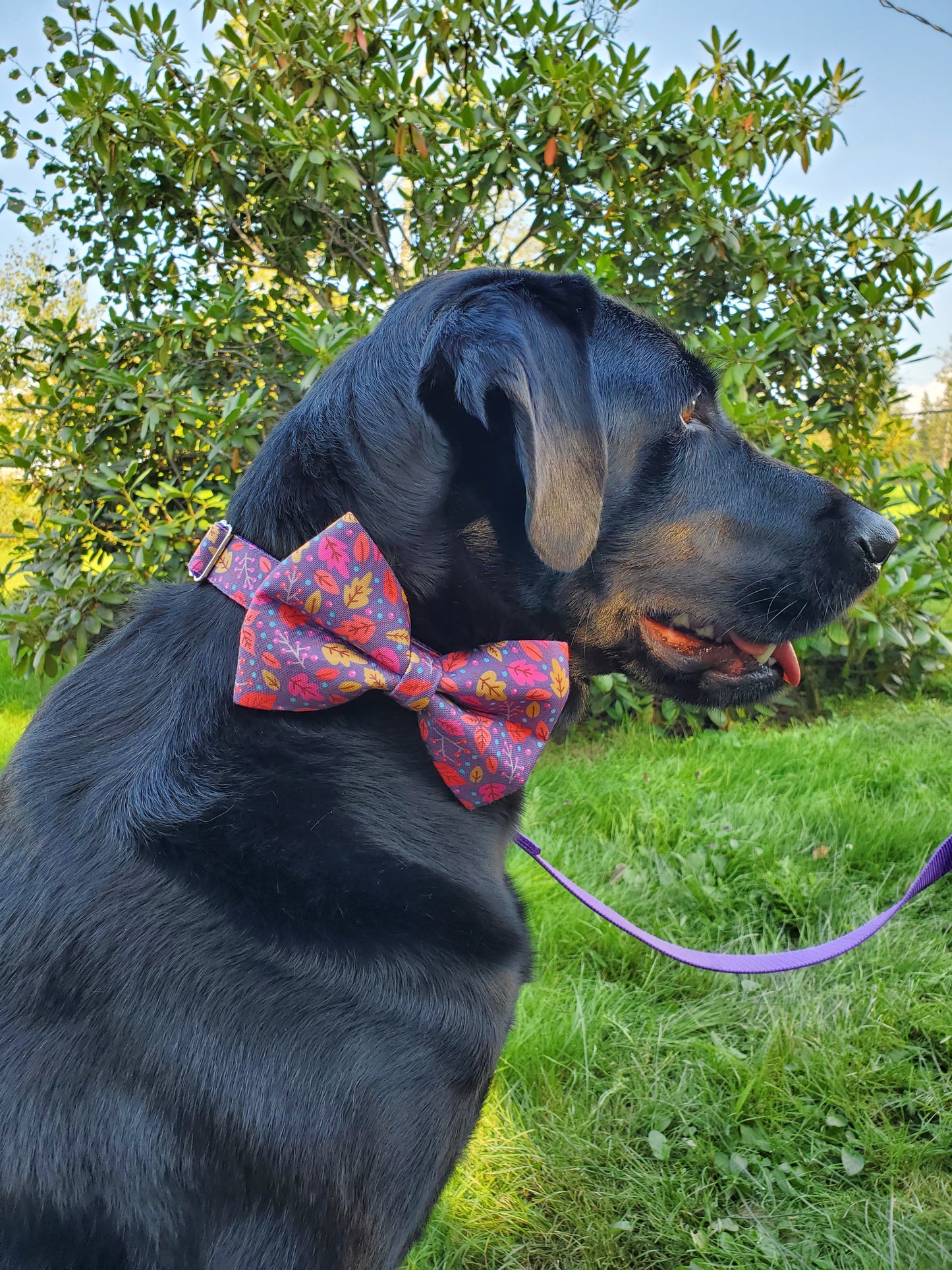 Purple Leaves bowtie