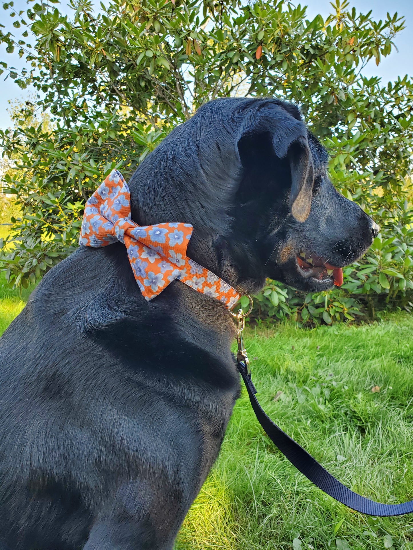 Indigo Floral bowtie