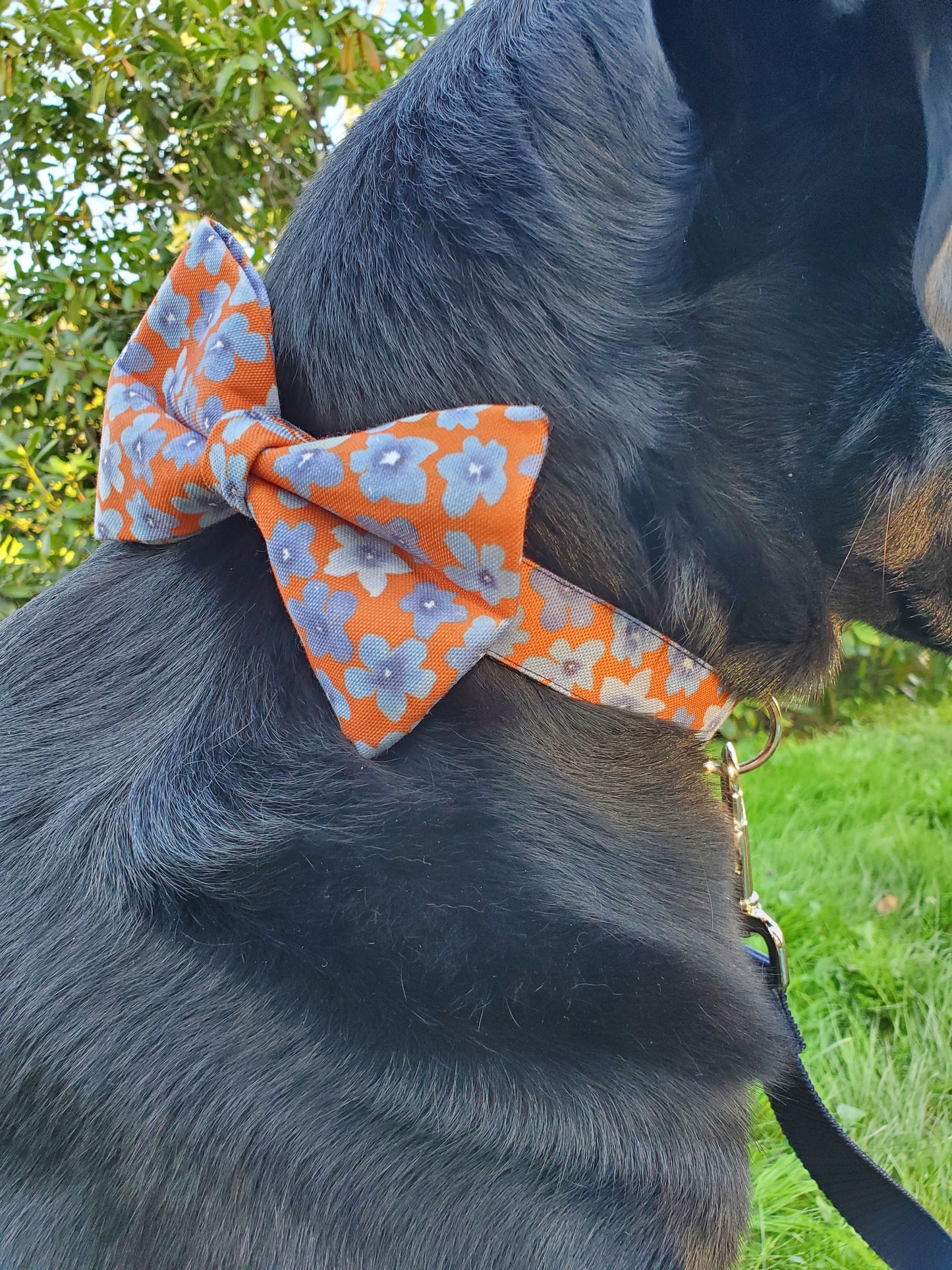 Indigo Floral bowtie