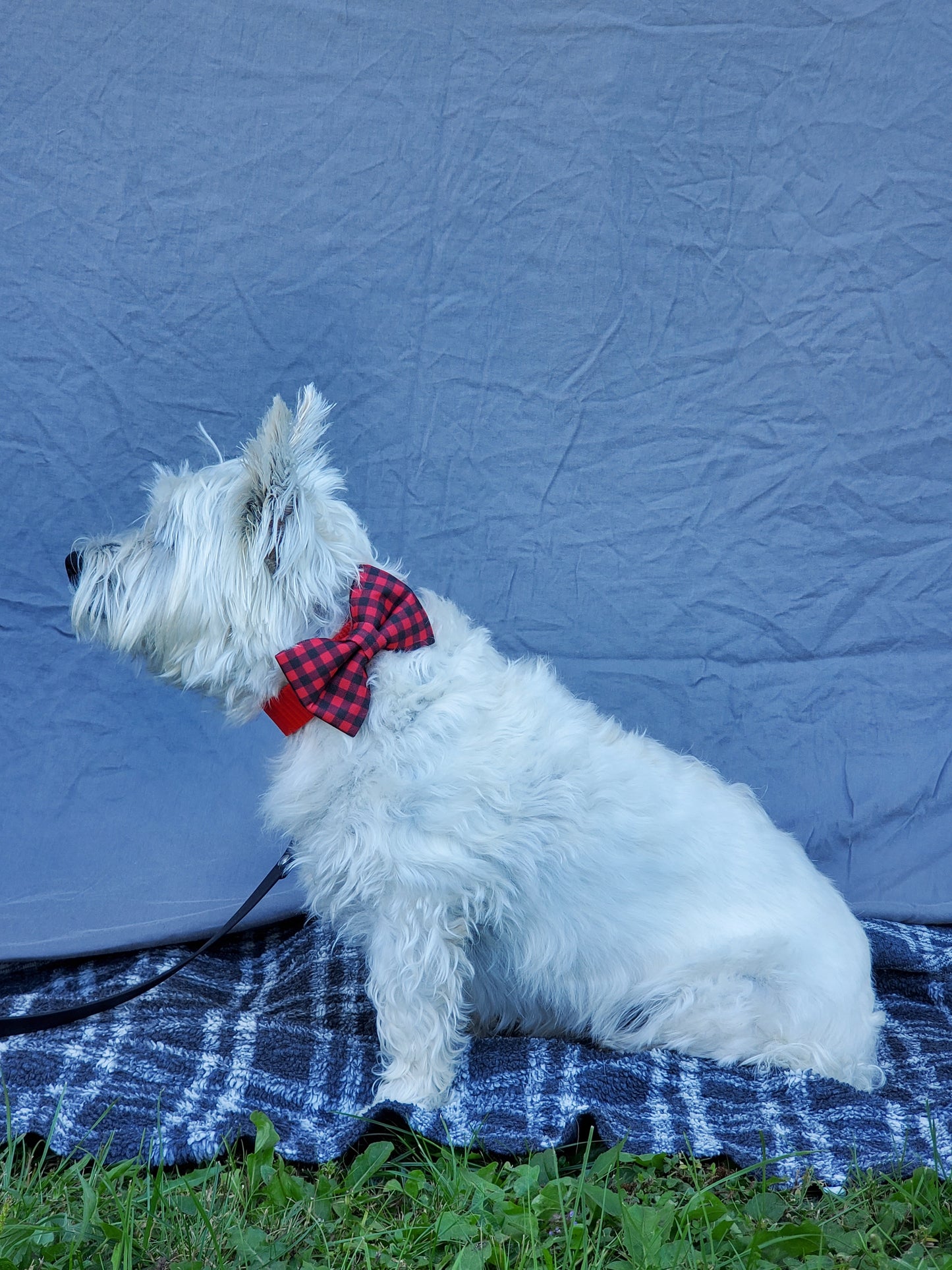 Red & Black Buffalo Plaid bowtie