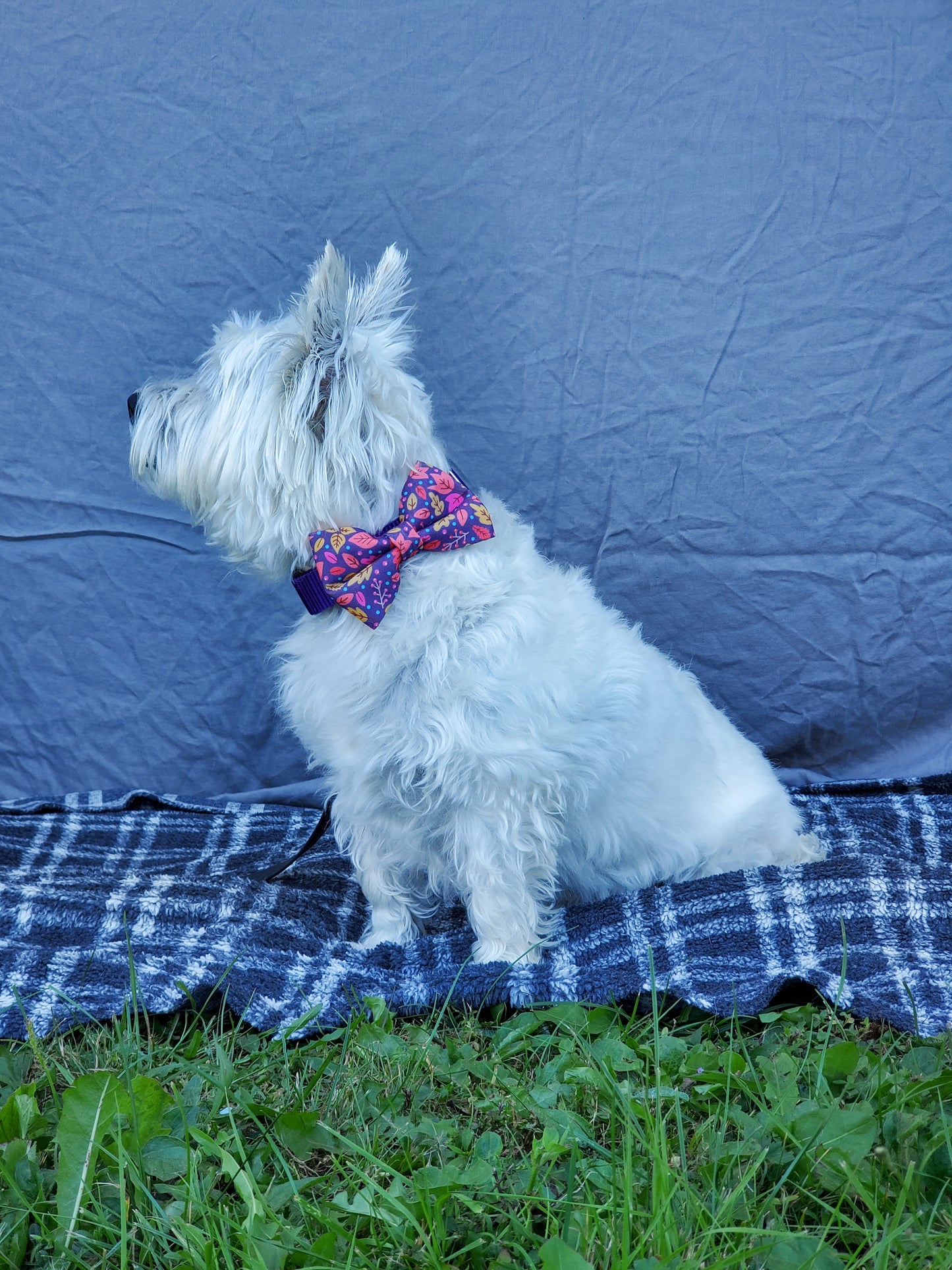 Purple Leaves bowtie