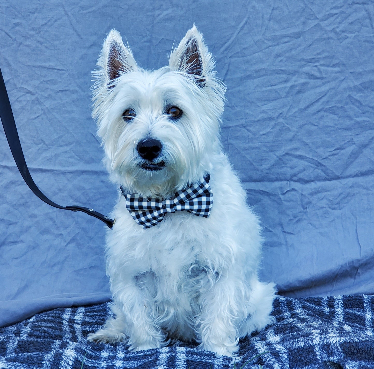 Classic Plaid bowtie