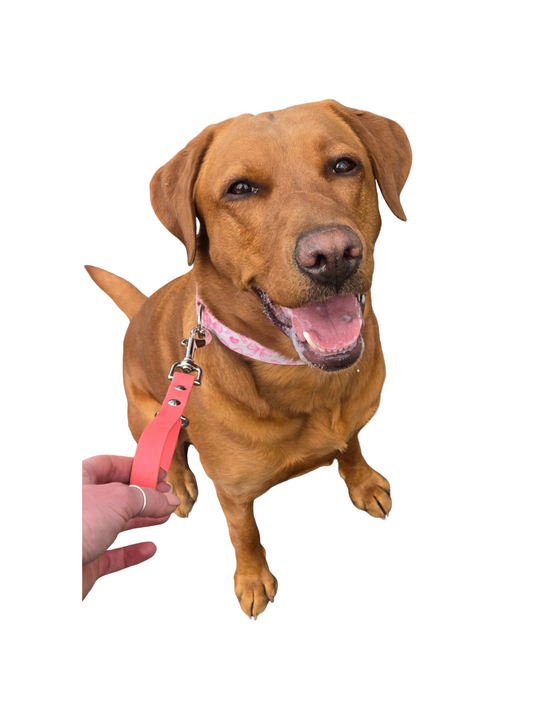 BioThane® Leash Tab