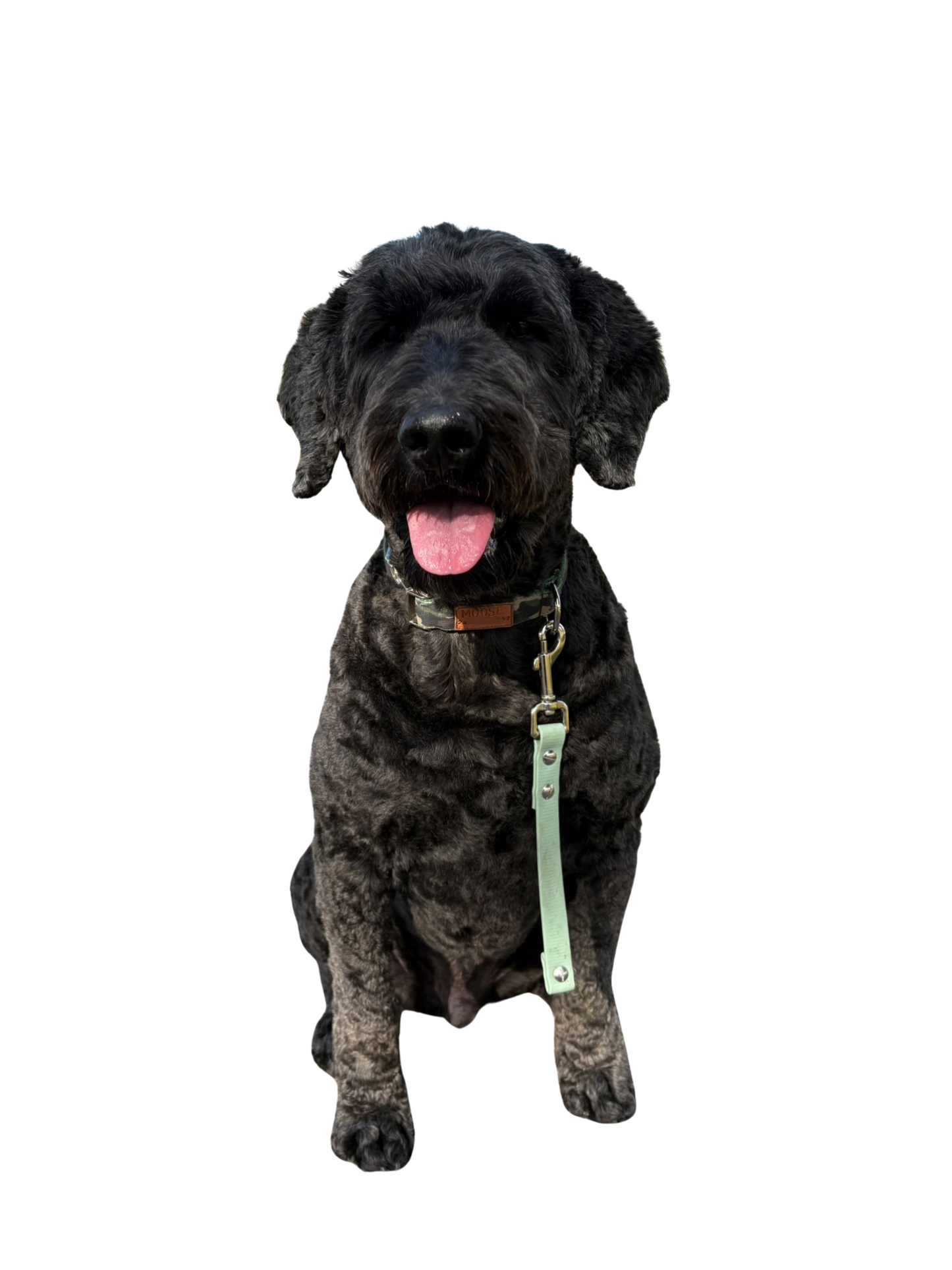 BioThane® Leash Tab