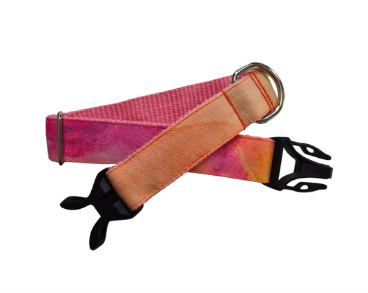 Orange Watercolor Dog Collar