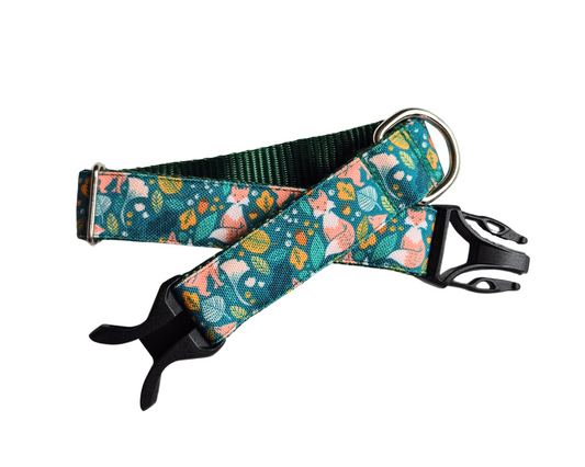 Forest Foxes in Green Dog Collar