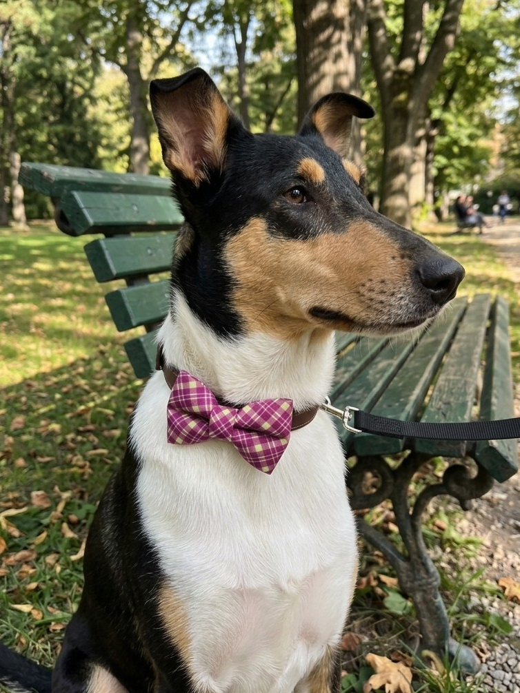 Purple & Green Plaid Over-the-collar Bow