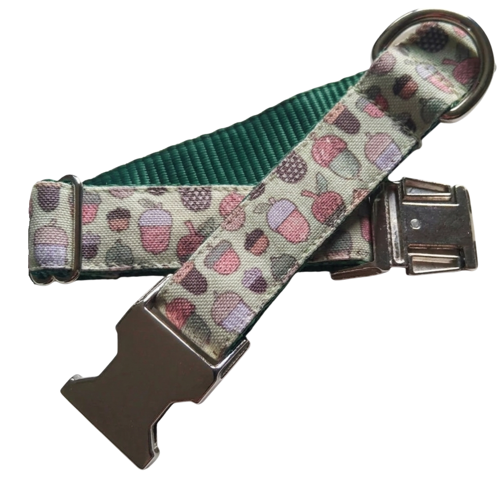 Tiny Acorns Dog Collar