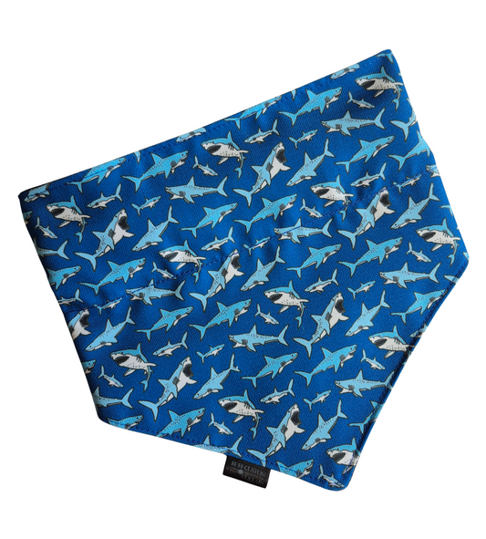 Sharks Slip-On Bandana