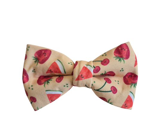 Summer Fruits Over-the-collar Bow