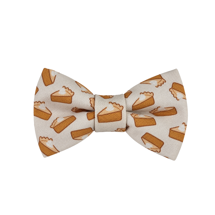 Pumpkin Pies Over-the-collar Bow