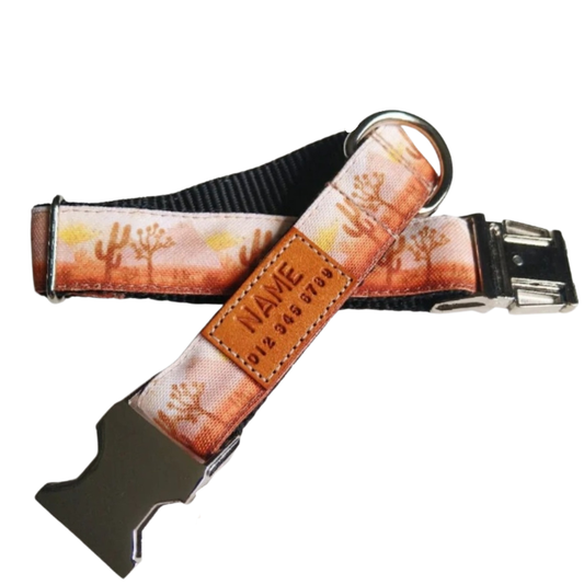 Desert Sunrise Dog Collar