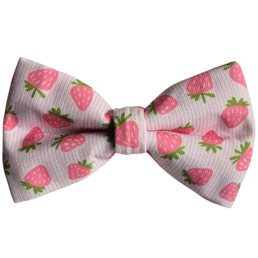 Strawberries Over-the-collar Bowtie