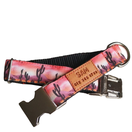 Canyon Sunset Dog Collar