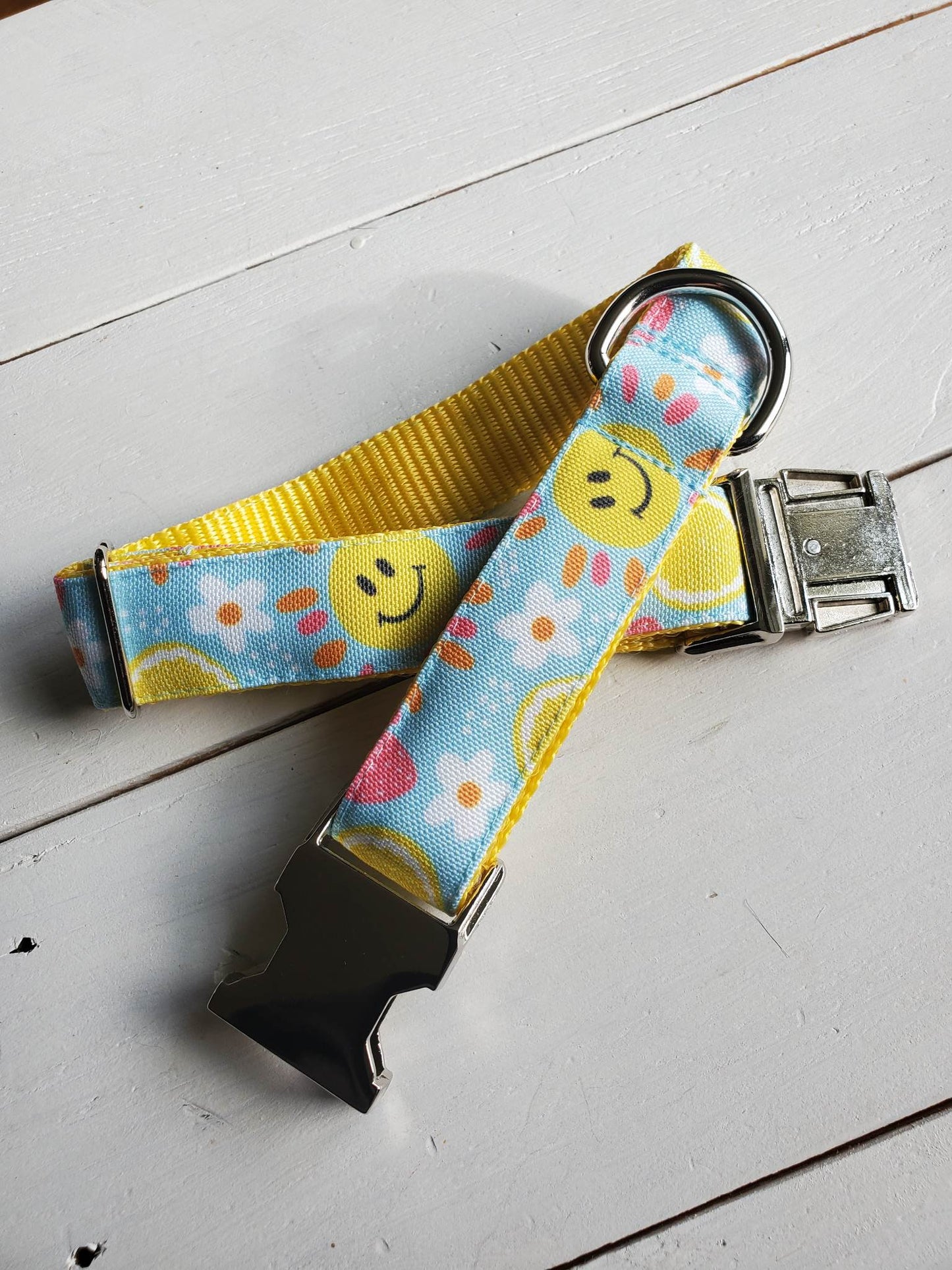 Summer Vibes dog collar