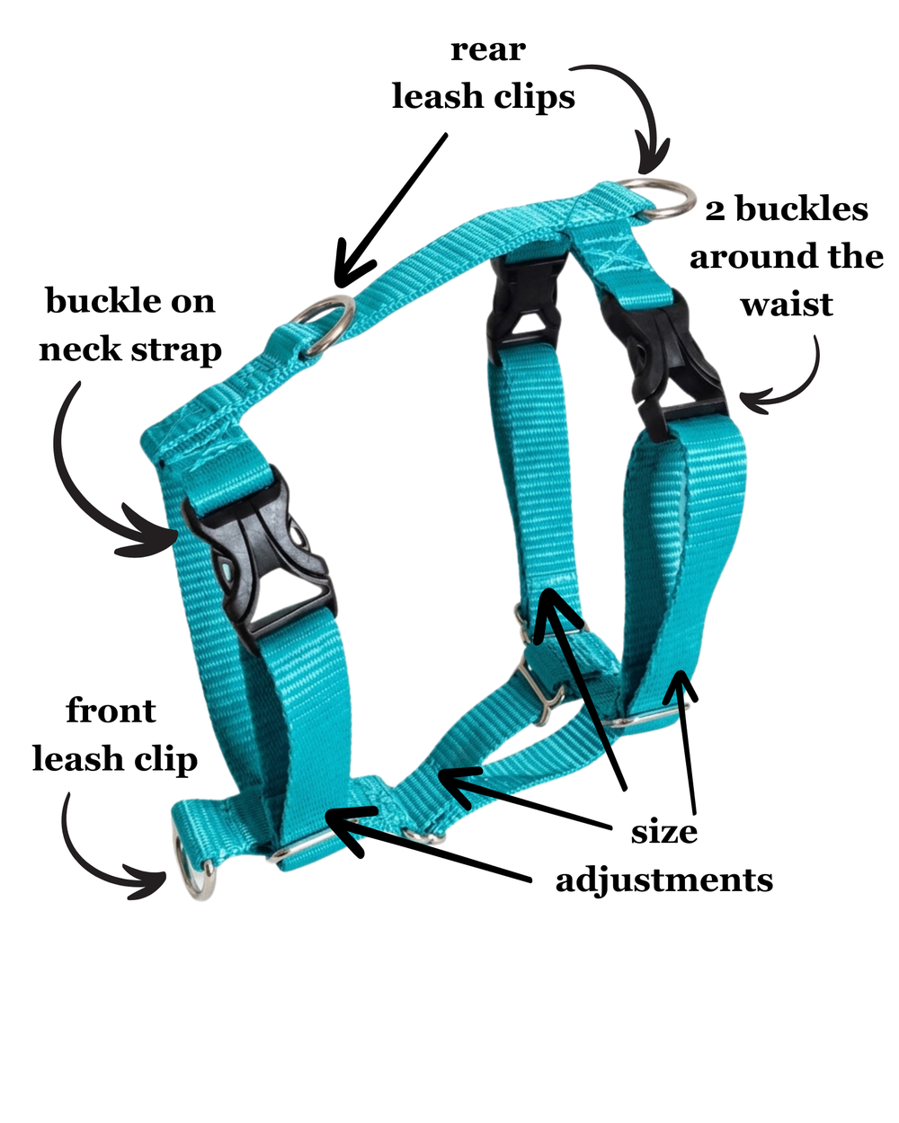 Everyday Walking Harness