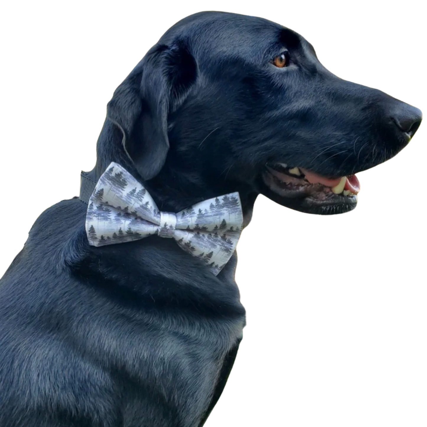 Forest Mist Over-the-collar Bowtie