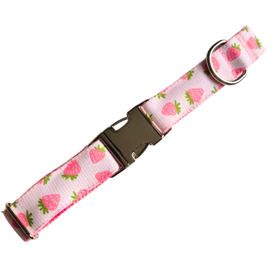 Strawberries Dog Collar