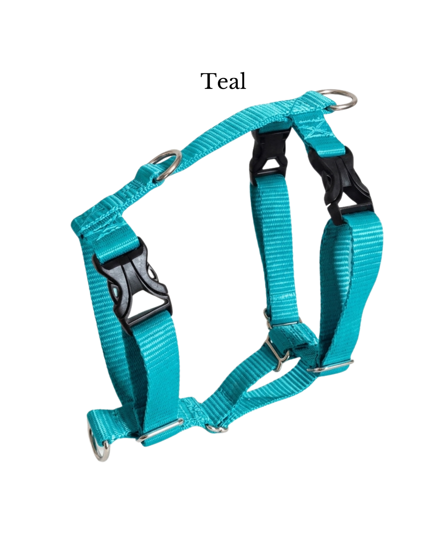 Everyday Walking Harness