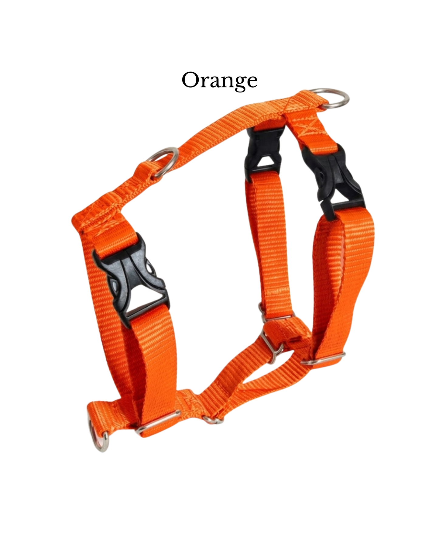 Everyday Walking Harness