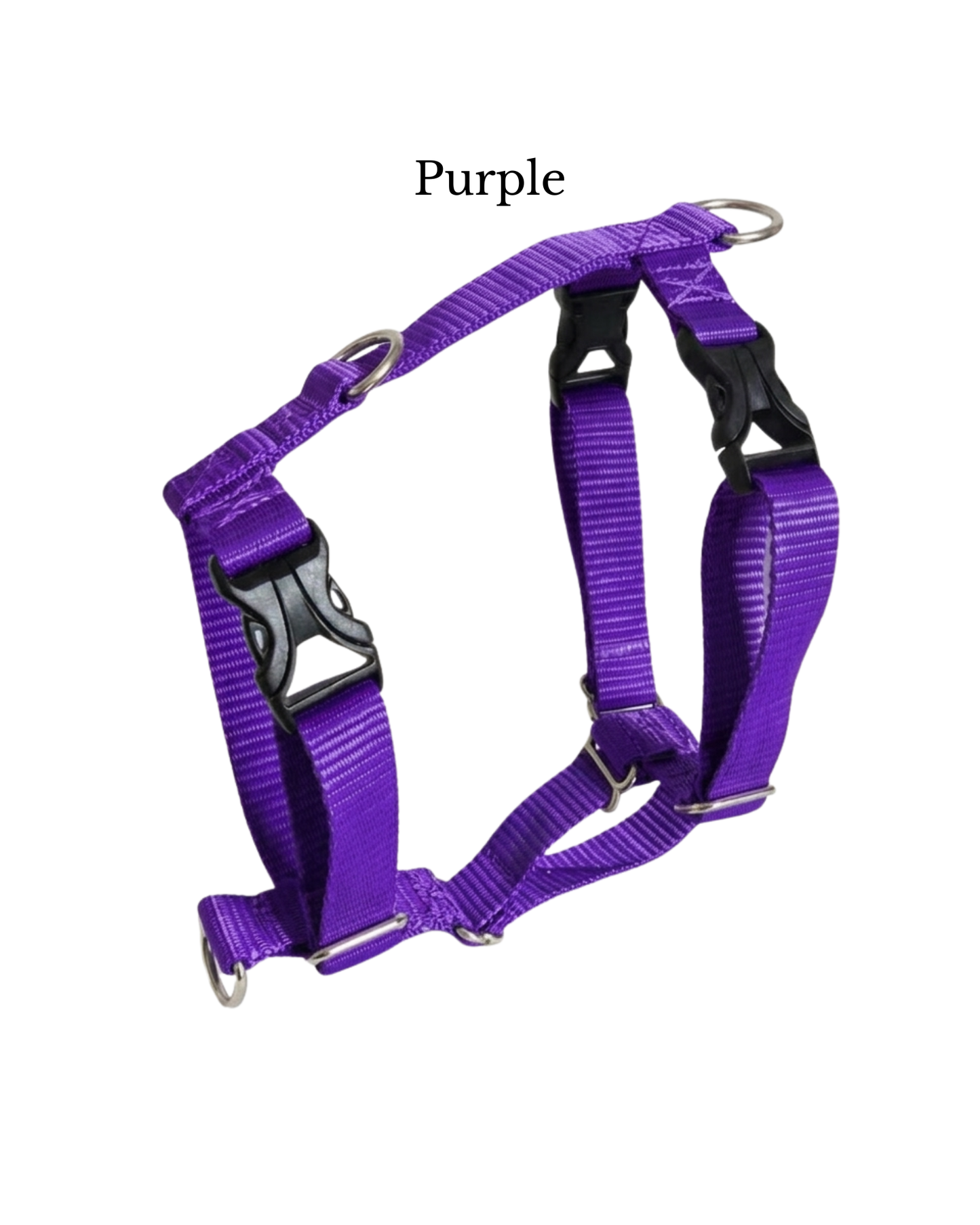 Everyday Walking Harness