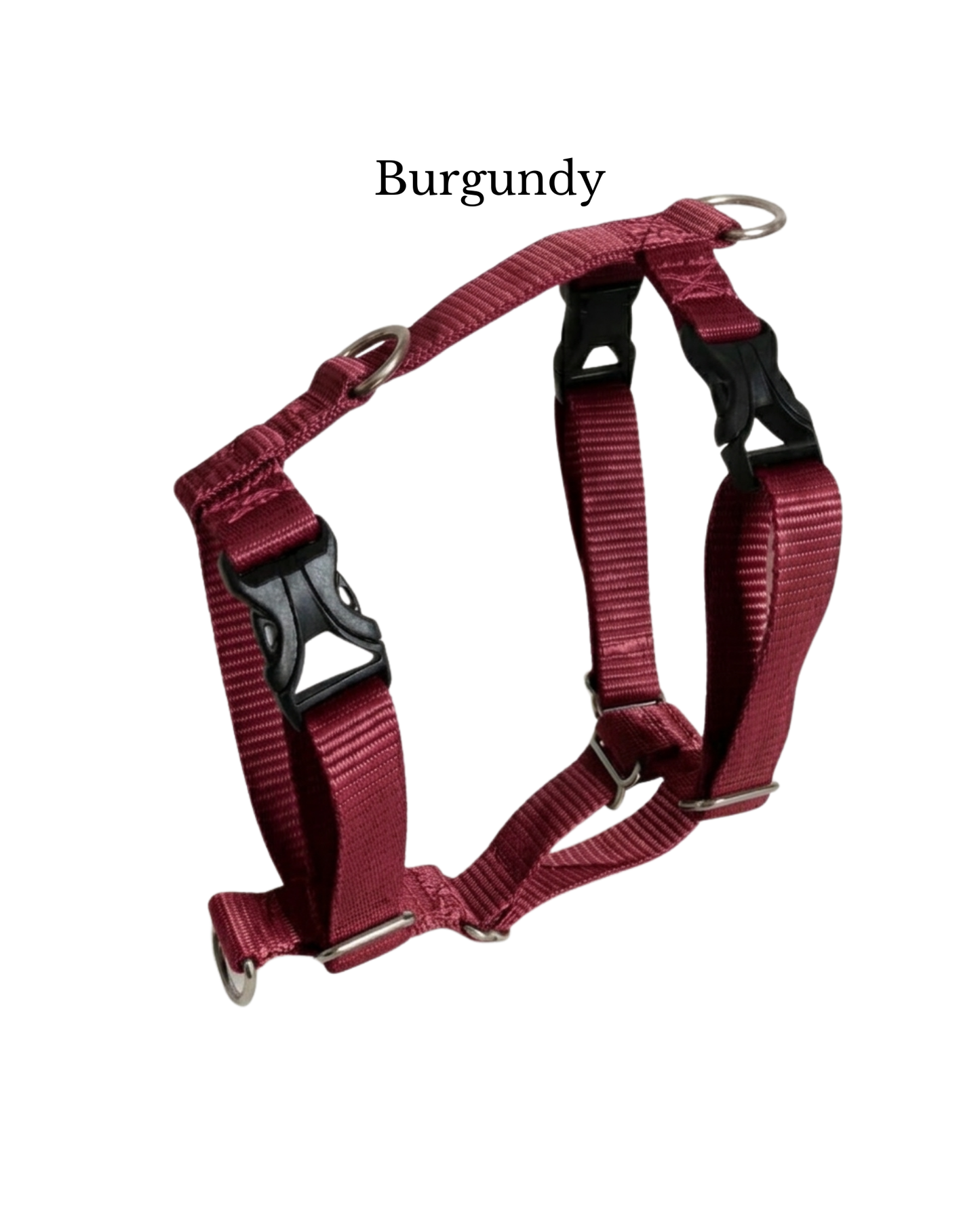 Everyday Walking Harness