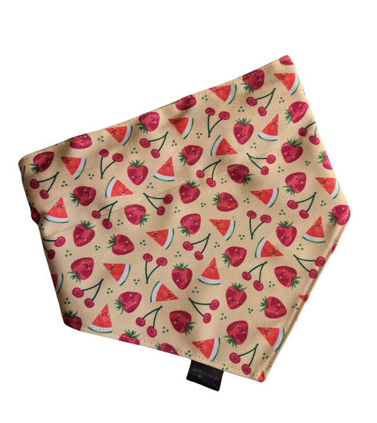 Summer Fruits Slip-On Bandana