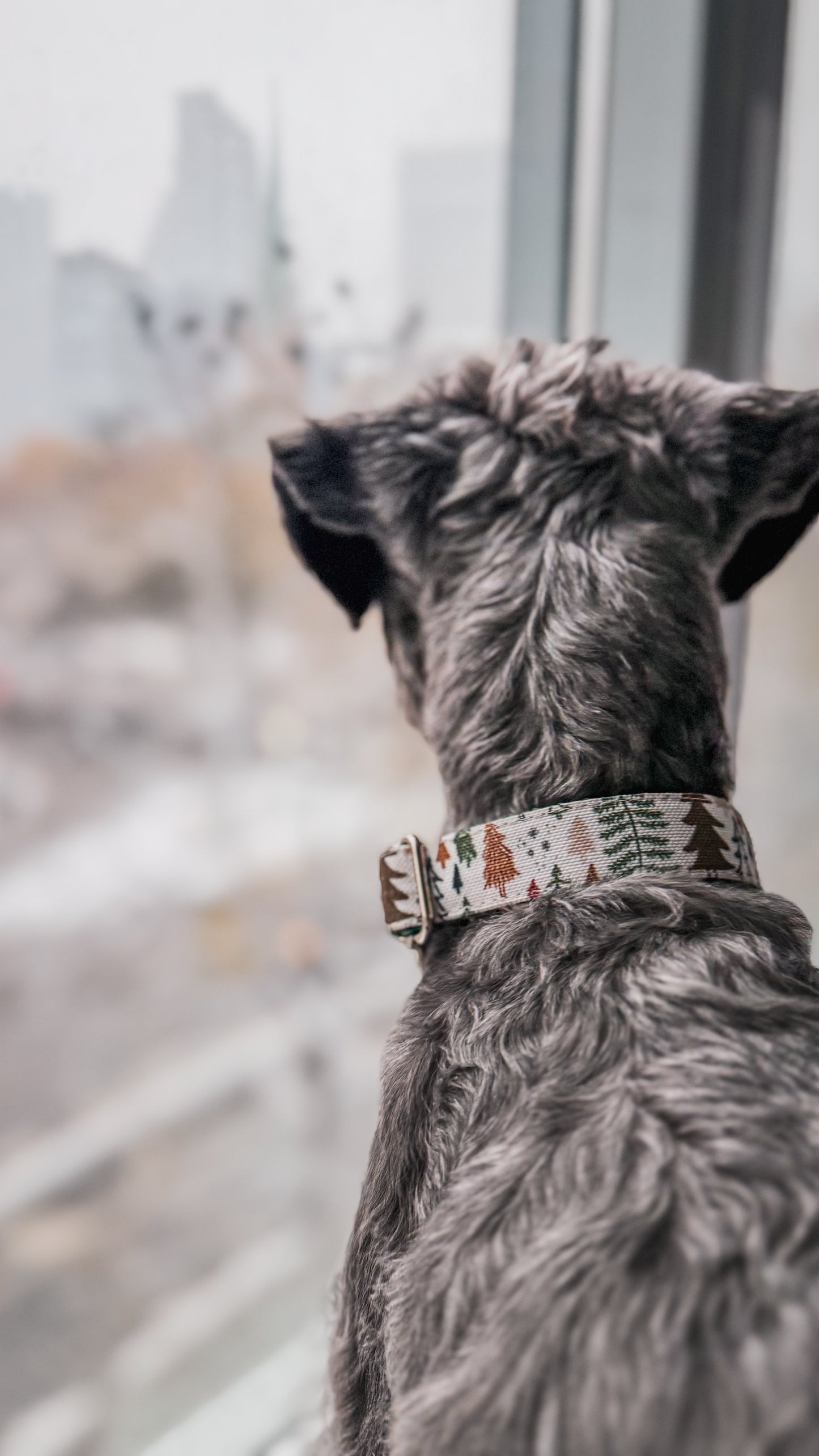 Neutral Winter Forest Dog Collar