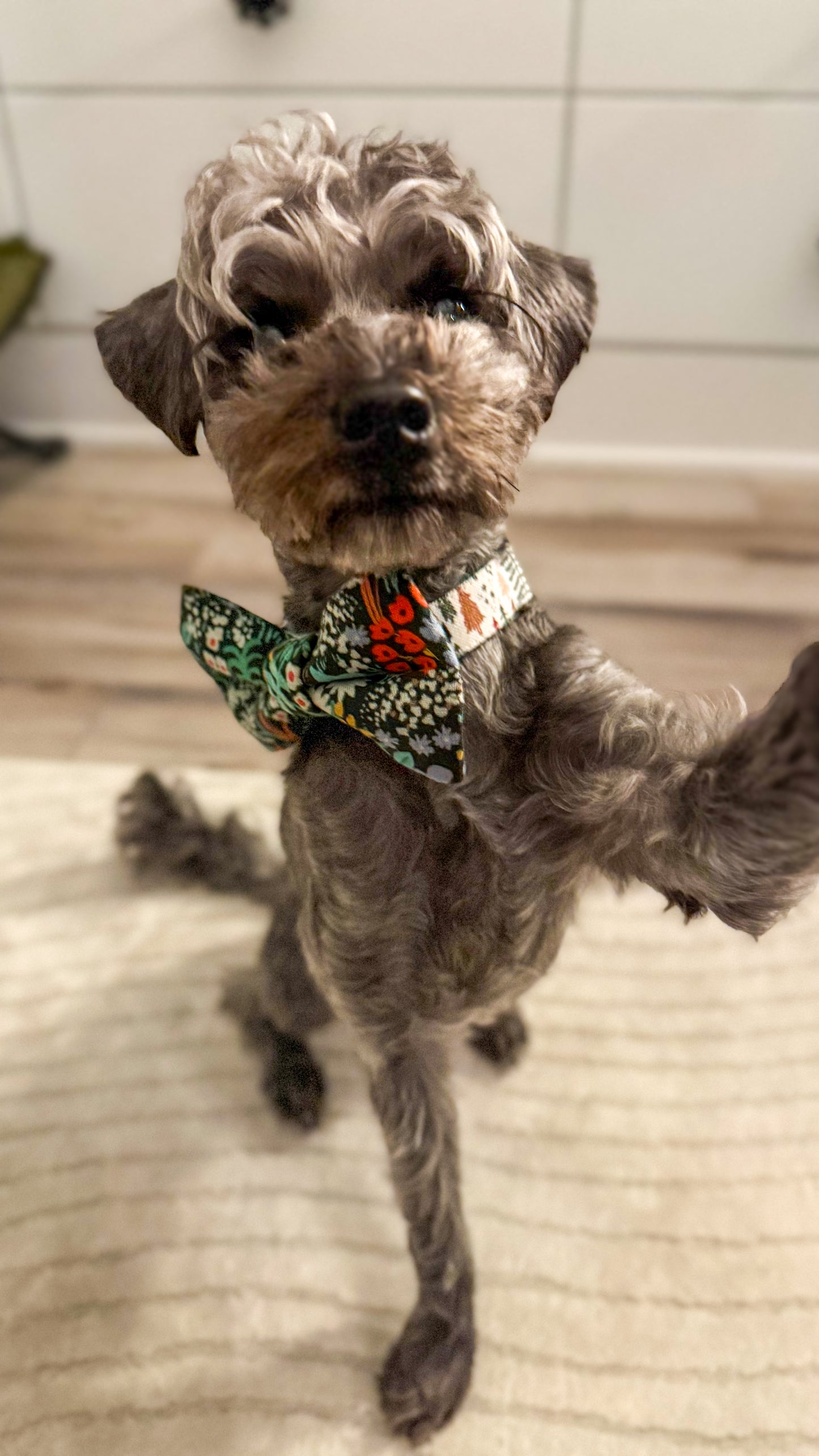 Rifle Paper Co. Dark Floral Over-the-collar Dog Bow