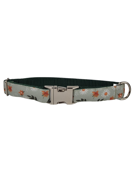 Daisy Meadow Dog Collar