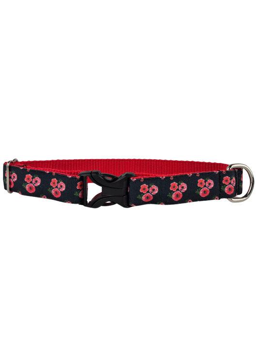 Poppies on Black Dog Collar