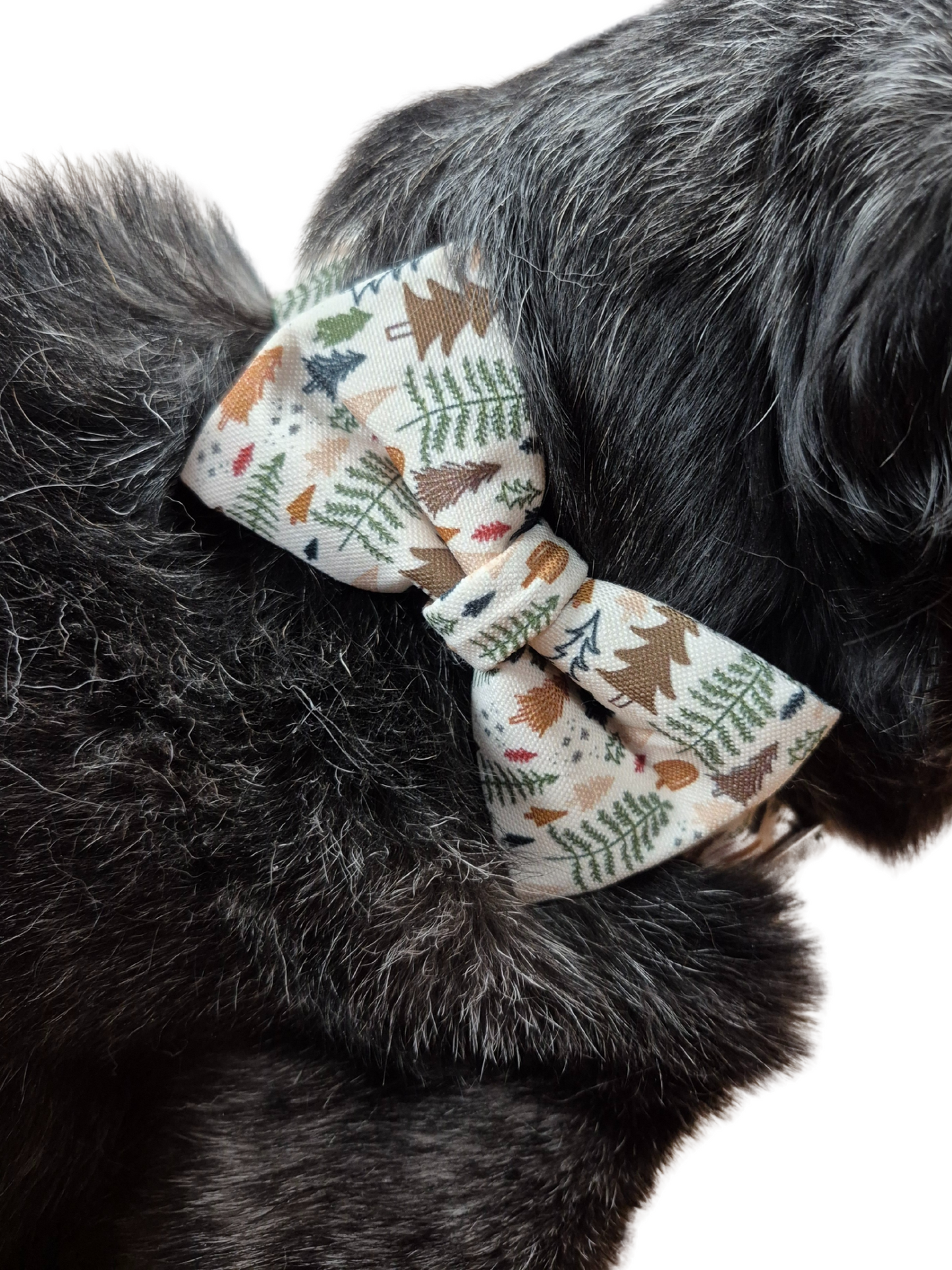 Neutral Forest Over-the-collar Dog Bow