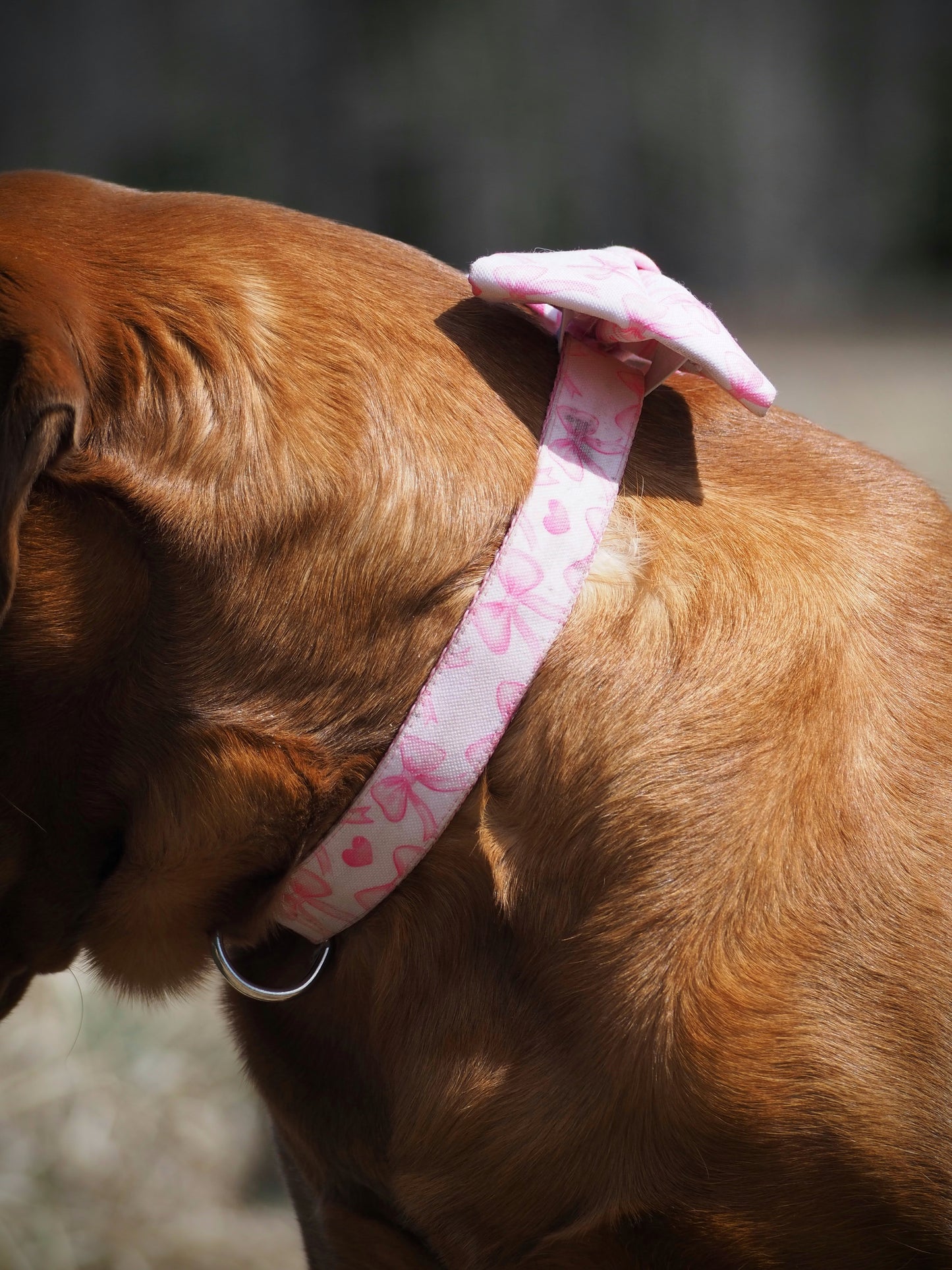 Pink Bows Dog Collar