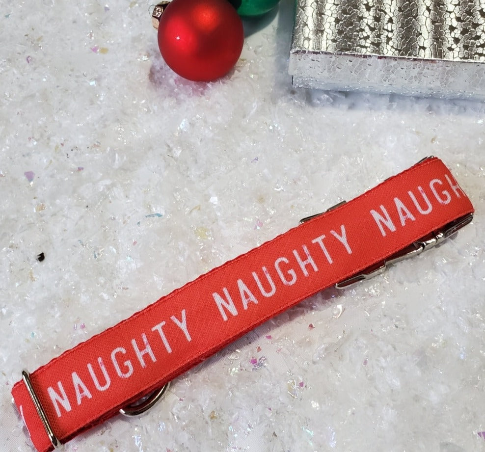 I've Been Naughty dog collar