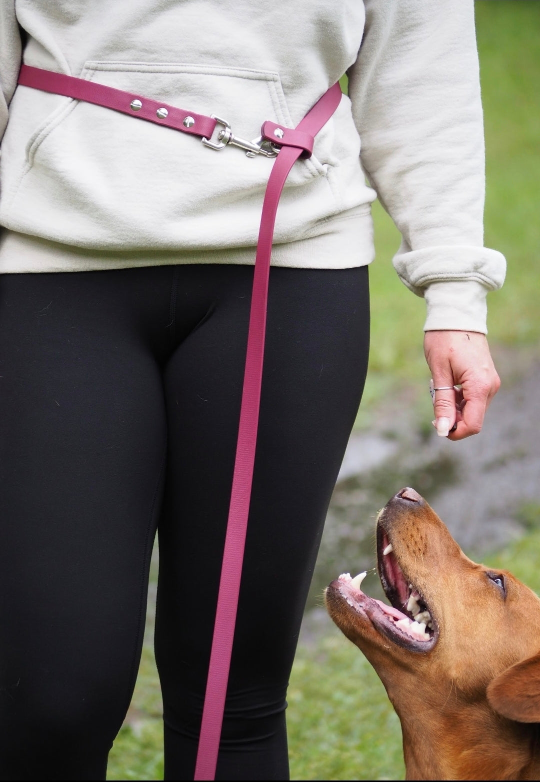 Multiuse Handsfree BioThane® Leash