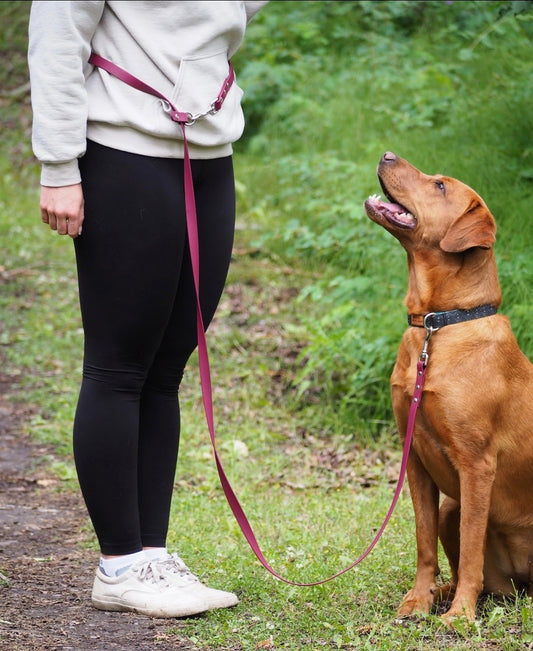 Multiuse Handsfree BioThane® Leash