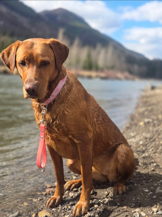 BioThane® Leash Tab