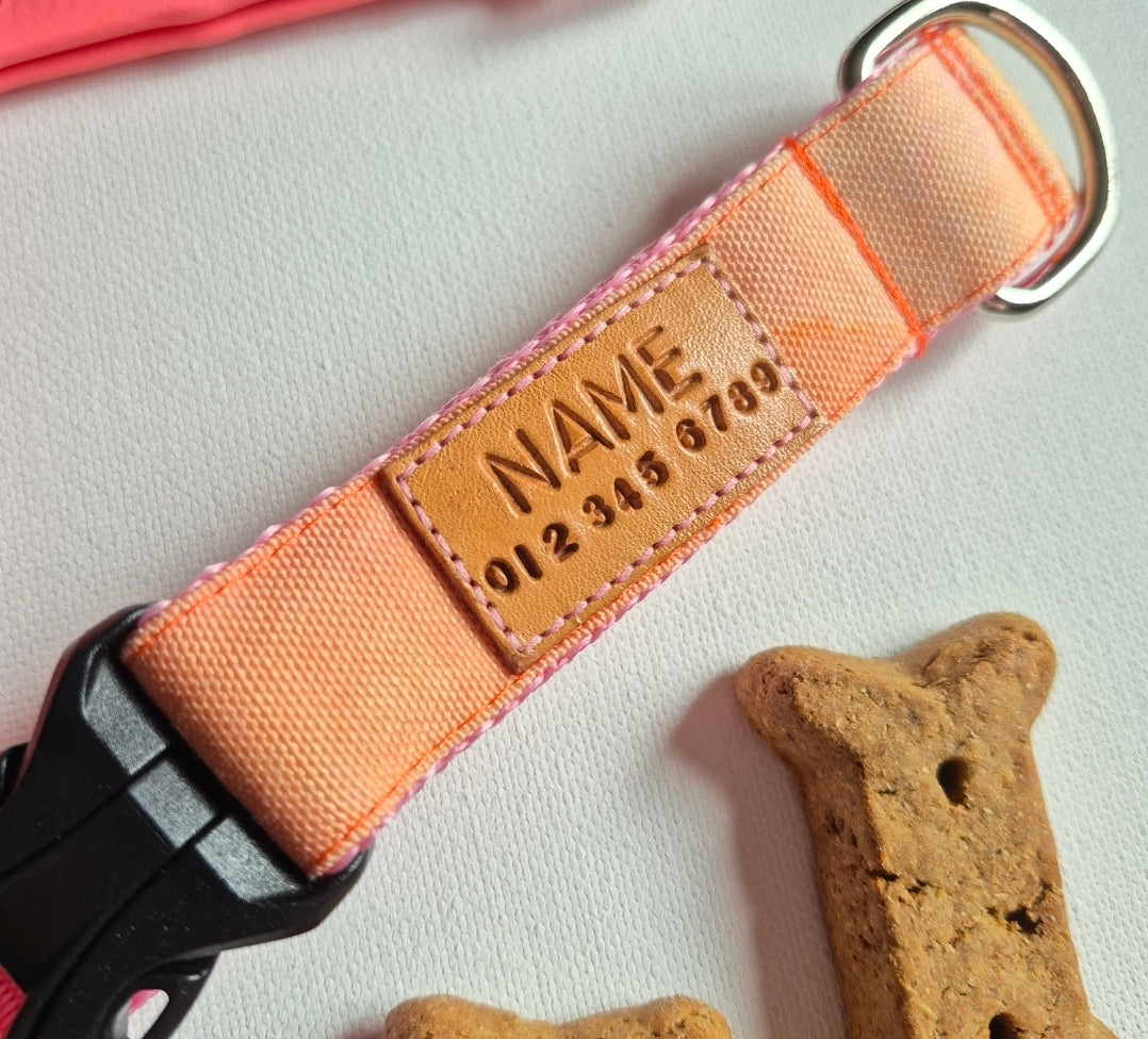 Orange Watercolor Dog Collar