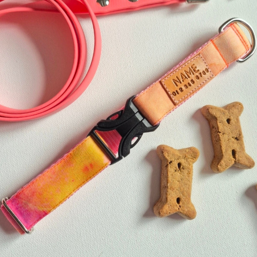 Orange Watercolor Dog Collar
