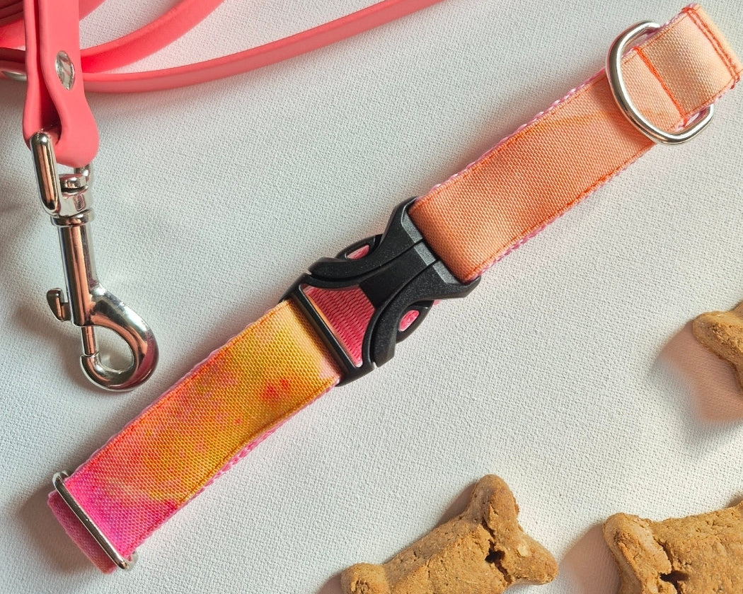 Orange Watercolor Dog Collar