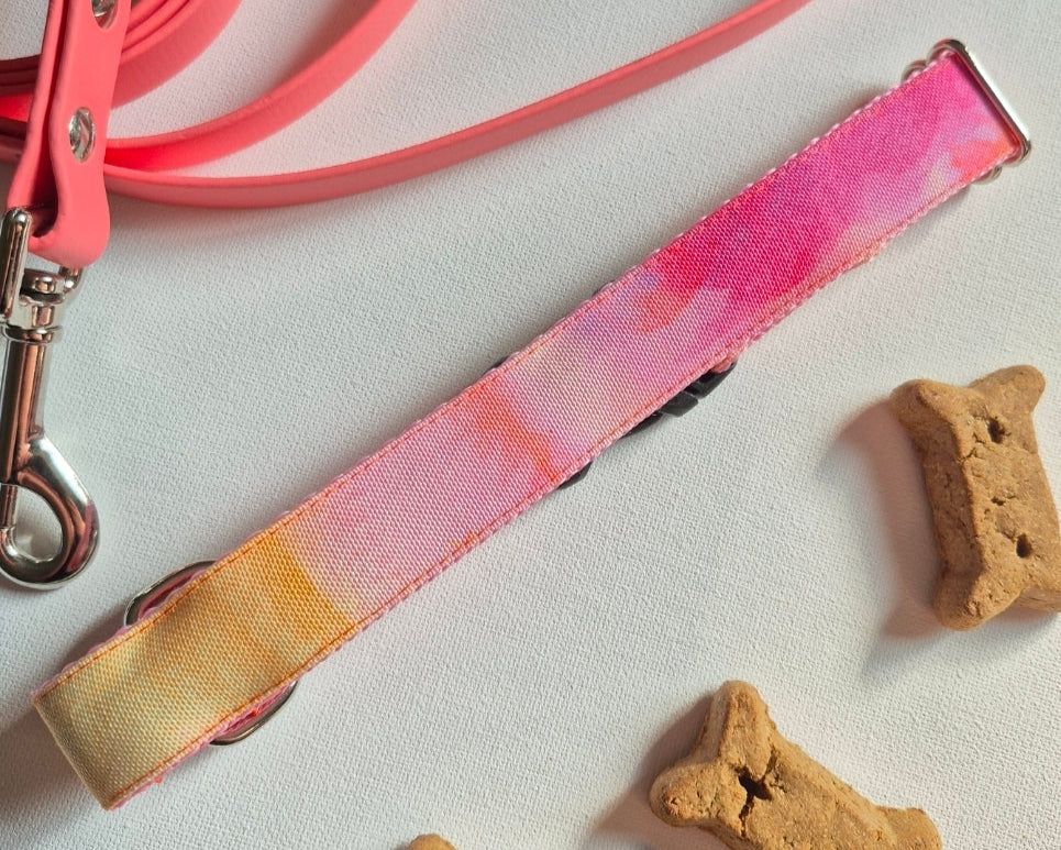 Orange Watercolor Dog Collar
