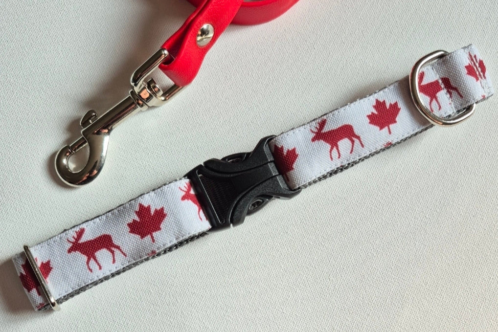 Maple Leaves & Moose Dog Collar